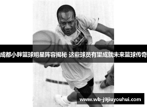 成都小胖篮球明星阵容揭秘 这些球员有望成就未来篮球传奇